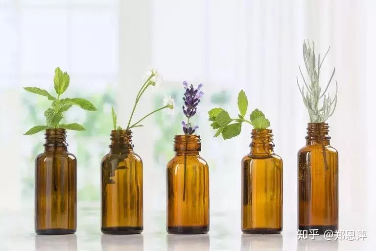 Ultrasonic Plant Essential Oil Extraction Equipment