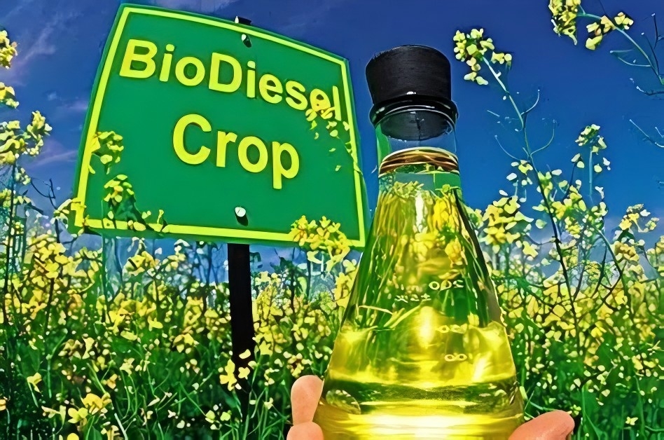 Application: Ultrasonic-Oxidative Extraction Desulfurization of Sulfur-Containing Diesel